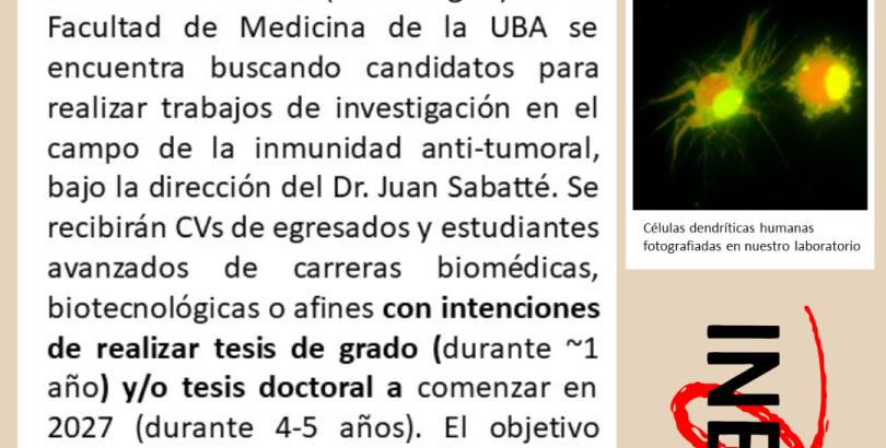 ¡Sumate al INBIRS para hacer investigación en inmunidad y cáncer!