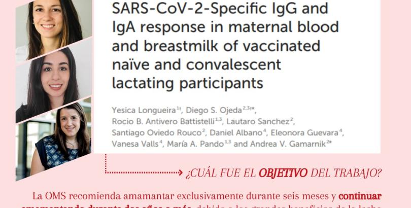 Nuevo trabajo publicado! Las personas que amamantan, ¿podrían transmitir protección a sus bebés luego de vacunarse contra COVID-19?