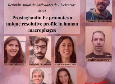 “Mejor e-póster” de la sesión Inmunidad Innata III de la Sociedad Argentina de Inmunología 